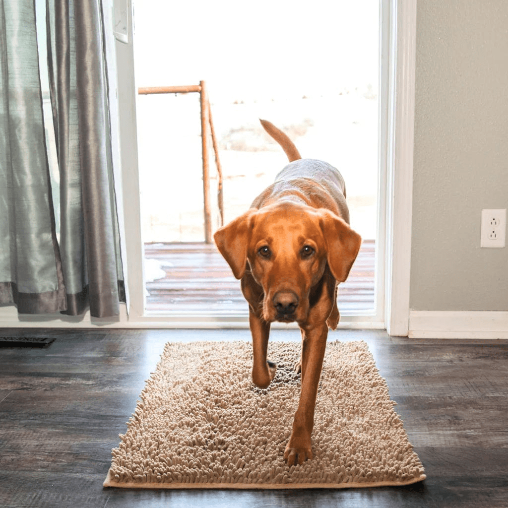 Tapis d'hygiène intérieur pour chien