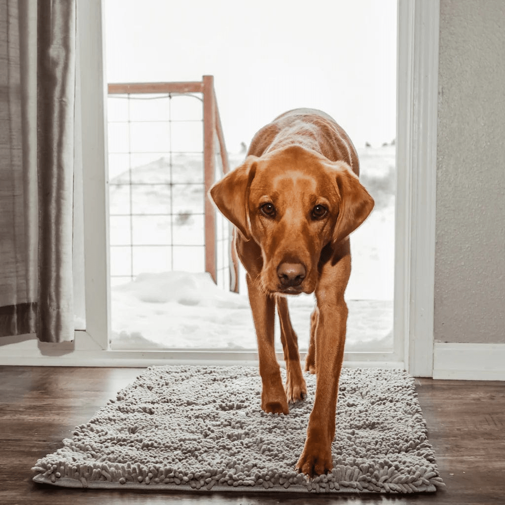 Tapis d'hygiène intérieur pour chien