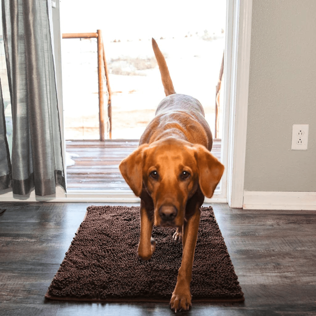 Tapis d'hygiène intérieur pour chien