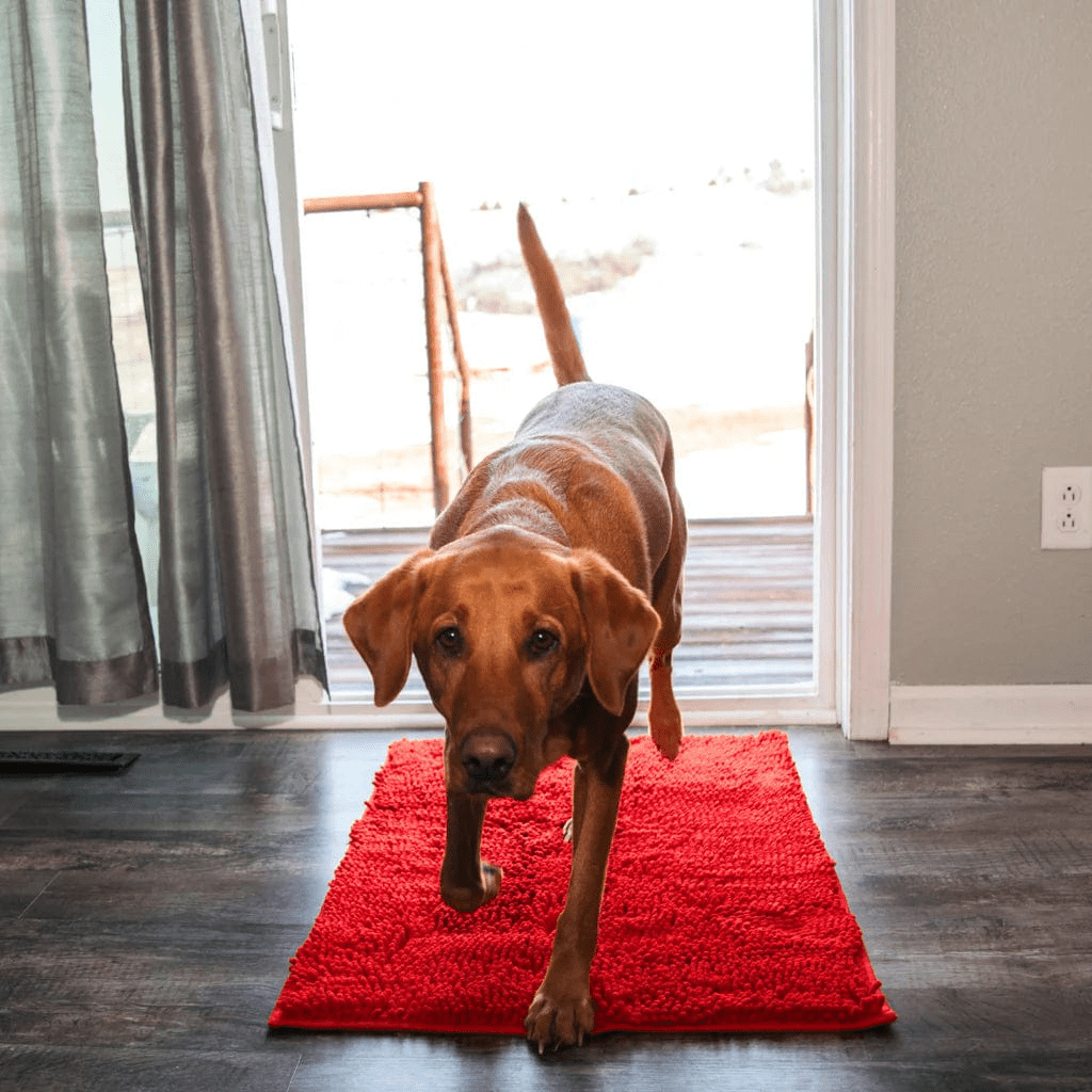 Tapis d'hygiène intérieur pour chien