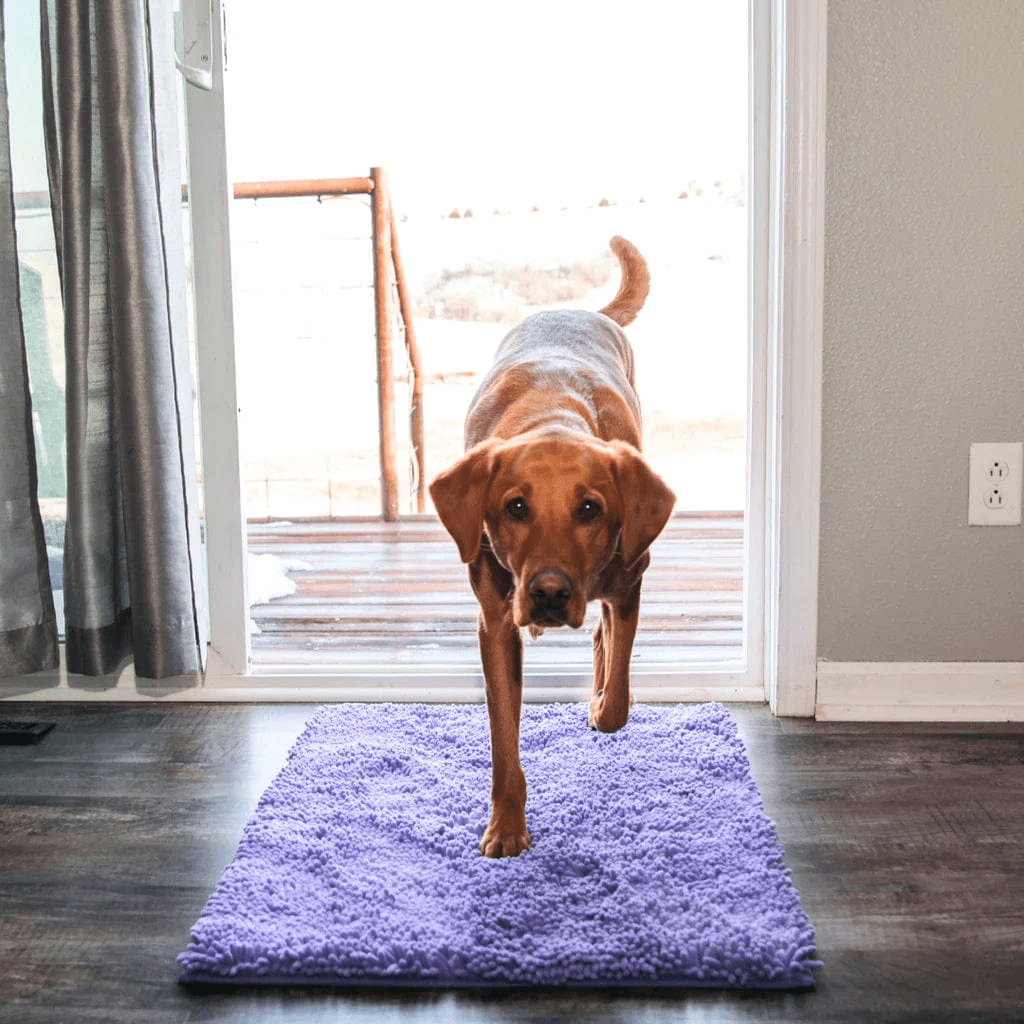 Tapis d'hygiène intérieur pour chien