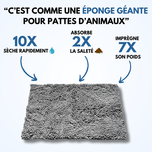 Tapis d'hygiène intérieur pour chien